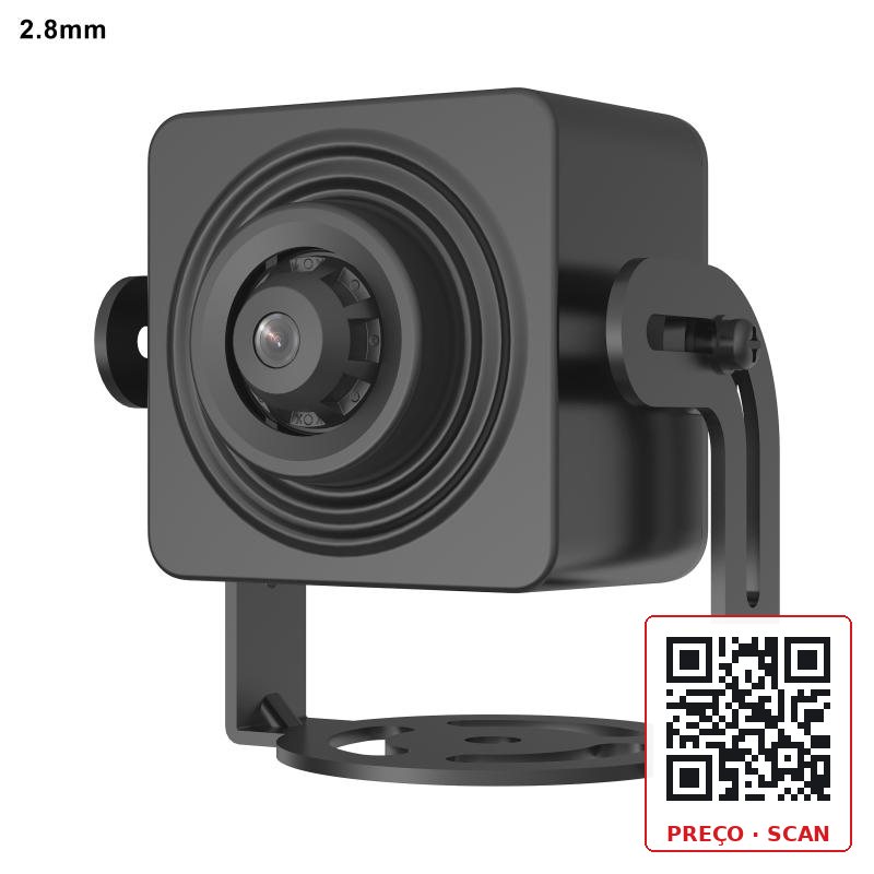 DS-2CD2D25G1-D/NF – Covert Network Camera