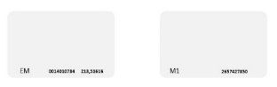 DS-K7M101-E1 Hikvision – Cartão inteligente sem contacto