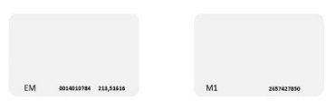 DS-K7M101-M1 – Contactless Smart Card
